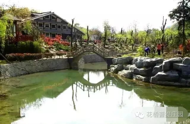 這個(gè)周末，隴南康縣花橋有大事要發(fā)生？