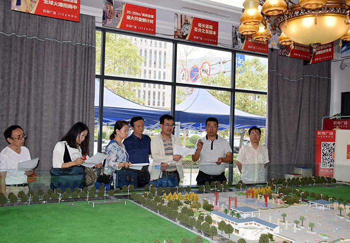 省、市聯(lián)合工作組蒞臨階州廣場檢查指導工作