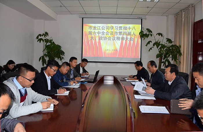 市龍江公司召開(kāi)全體員工大會(huì)，專題傳達(dá)學(xué)習(xí)上級(jí)會(huì)議精神