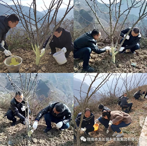 市龍江集團在文縣橋頭鎮(zhèn)安子坡村開展“解難題、辦實事、送溫暖”活動