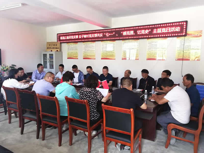 “感黨恩、憶黨史”，--市龍江城鄉(xiāng)發(fā)展集團(tuán)公司開展慶祝建黨99周年主題黨日活動(dòng)