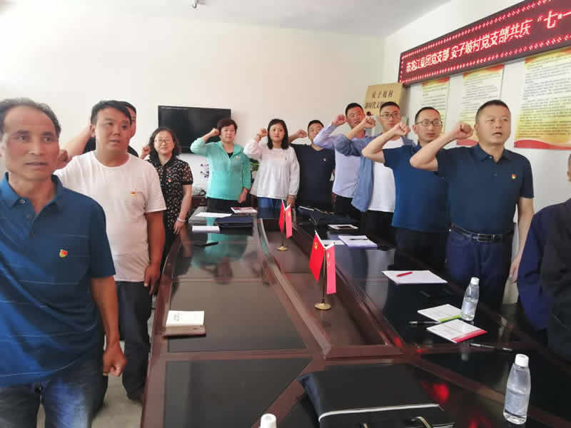 “感黨恩、憶黨史”，--市龍江城鄉(xiāng)發(fā)展集團(tuán)公司開展慶祝建黨99周年主題黨日活動(dòng)