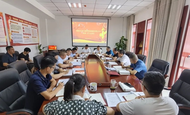 市龍江集團(tuán)召開黨委(擴(kuò)大)會議